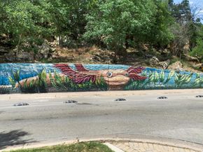 900 S Lamar BLVD 304, Austin TX 78704