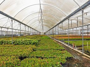 787 Cassou Road, San Marcos CA 92069