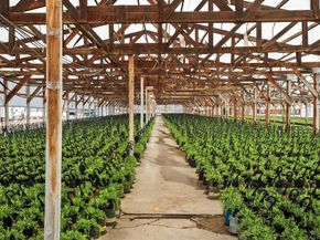 787 Cassou Road, San Marcos CA 92069