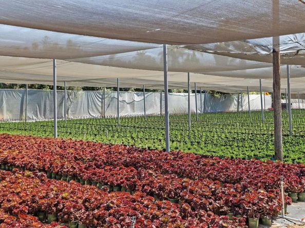 787 Cassou Road, San Marcos CA 92069