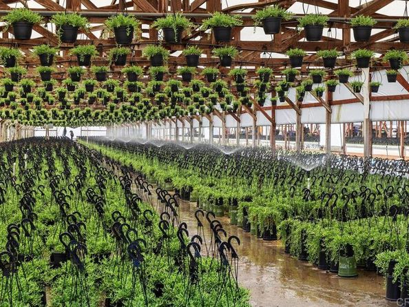 787 Cassou Road, San Marcos CA 92069