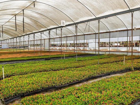 787 Cassou Road, San Marcos CA 92069