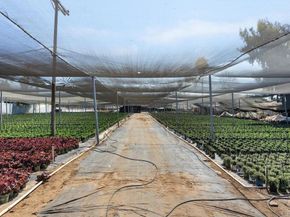 787 Cassou Road, San Marcos CA 92069