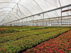 787 Cassou Road, San Marcos CA 92069