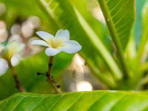 2748 Mansfield Drive, Burbank CA 91504