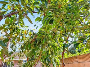 1725 3rd, La Verne CA 91750