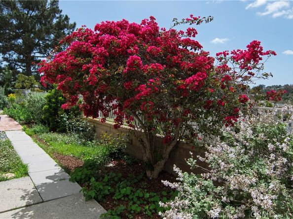 28242 Elmwood, Mission Viejo CA 92692