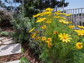 28242 Elmwood, Mission Viejo CA 92692