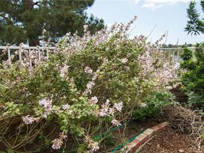 28242 Elmwood, Mission Viejo CA 92692