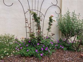 28242 Elmwood, Mission Viejo CA 92692