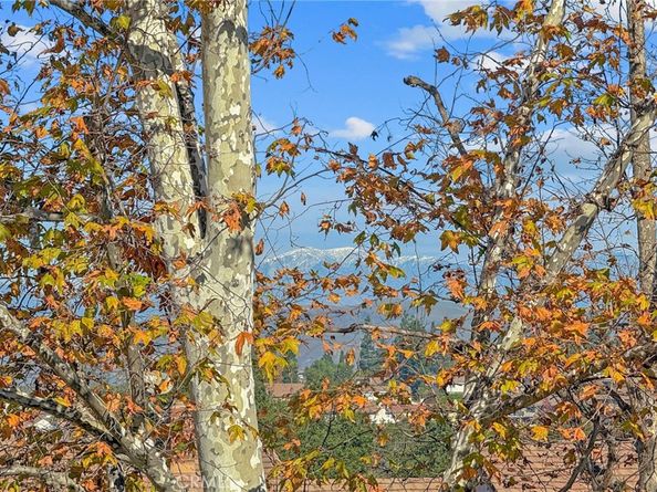 6535 E Paseo Murillo, Anaheim CA 92807