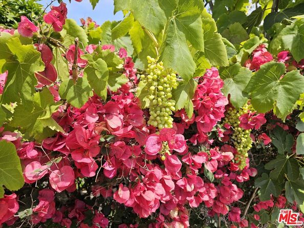 837 Milwood Avenue, Venice CA 90291