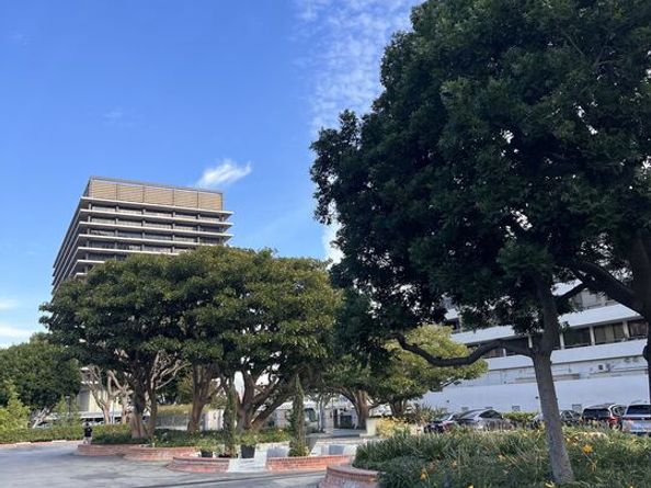 800 W 1st Street 509, Los Angeles CA 90012