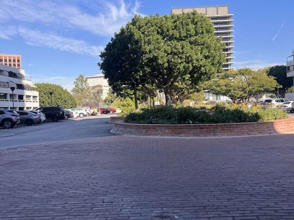 800 W 1st Street 509, Los Angeles CA 90012