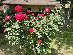 12429 Floral Drive, Whittier CA 90601