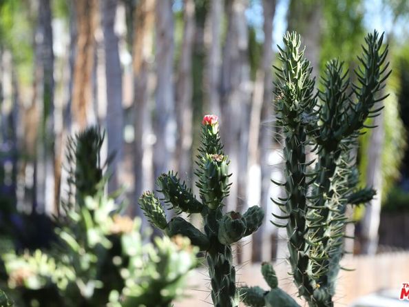 5055 Hub Street, Los Angeles CA 90042