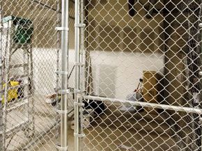 527 Molino Street 217, Los Angeles CA 90013