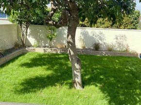 5865 E Rogene Street, Long Beach CA 90815
