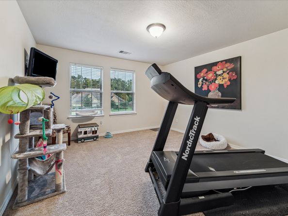14627 Golden Appaloosa Circle, Houston TX 77044