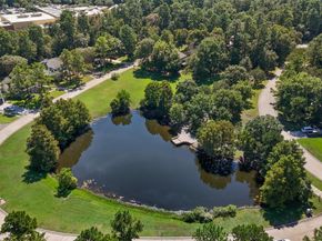 26 Lucky Leaf Court, The Woodlands TX 77381