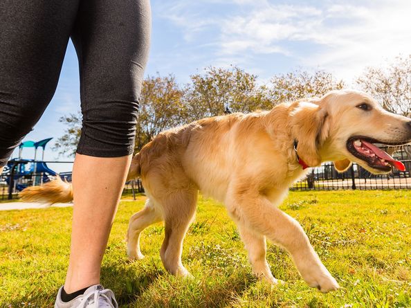 19835 Epona Creek Drive, Tomball TX 77377