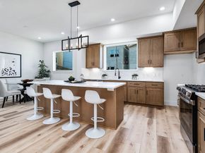 3209 St Emanuel Street B, Houston TX 77004