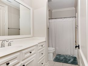 19 Hunnewell Way, The Woodlands TX 77382