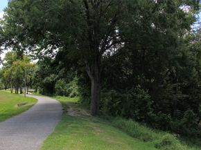 12218 Burgoyne Drive, Houston TX 77077