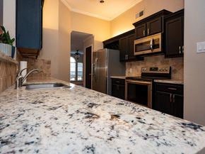 16307 Salinas Lane, Houston TX 77095