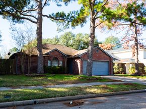 16307 Salinas Lane, Houston TX 77095