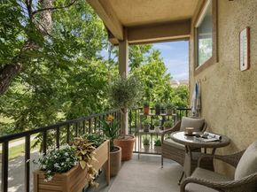 5545 Cornish Street, Houston TX 77007