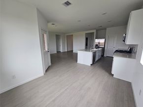 22023 Maddaloni View Drive, Hockley TX 77447