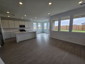 22023 Maddaloni View Drive, Hockley TX 77447