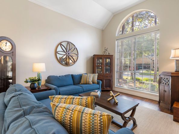 6 Tethered Vine Place, The Woodlands TX 77382