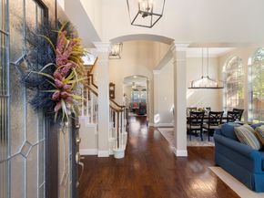 6 Tethered Vine Place, The Woodlands TX 77382