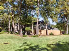 6 Tethered Vine Place, The Woodlands TX 77382