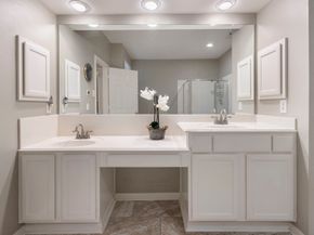 6 Tethered Vine Place, The Woodlands TX 77382