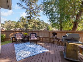 6 Tethered Vine Place, The Woodlands TX 77382