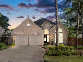 6 Tethered Vine Place, The Woodlands TX 77382