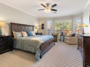 6 Tethered Vine Place, The Woodlands TX 77382