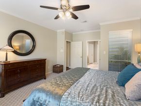 6 Tethered Vine Place, The Woodlands TX 77382