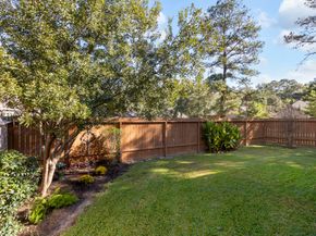 6 Tethered Vine Place, The Woodlands TX 77382