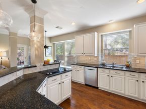 6 Tethered Vine Place, The Woodlands TX 77382