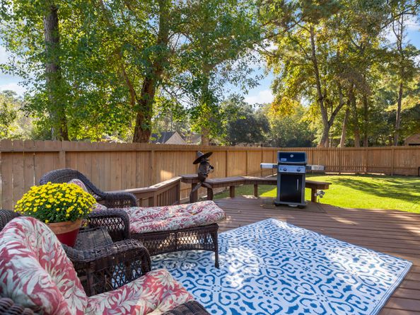 6 Tethered Vine Place, The Woodlands TX 77382