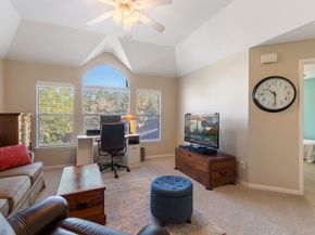 6 Tethered Vine Place, The Woodlands TX 77382