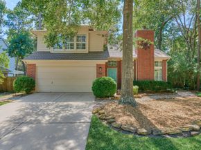 31 Grey Birch Place, The Woodlands TX 77381