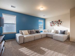 16419 Lazo Canyon Way, Houston TX 77049