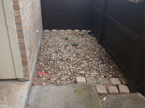 1500 Bay Area Boulevard 165, Houston TX 77058