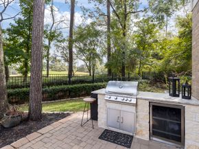 10 Mill Point Place, The Woodlands TX 77380