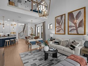 11230 Peacock Flower Street, Cypress TX 77433